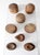 This collection of eight early 20th-century wooden millinery hat blocks includes a variety of crown blocks and finishing...