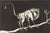 A 1967 aquatint print by Israeli-American artist Benjamin Levy (1940-2022). This abstract work depicts a monkey standing...
