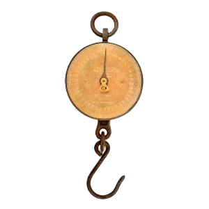 Salter's Hanging Scale