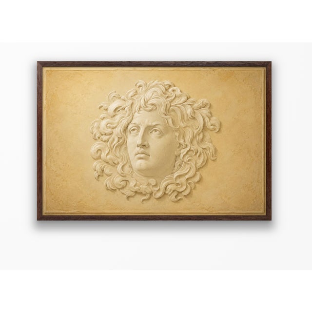 Atelier Aria Lumae Wilhelm Zahn Style Pompeian Medusa Gorgoneion Trompe lOeil Relief Fine Art Gallery Board Print 30 X 20 For Sale - Image 13 of 18