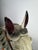 Large Hand-Carved Wooden Carousel Horse, 1920s For Sale - Image 3 of 10