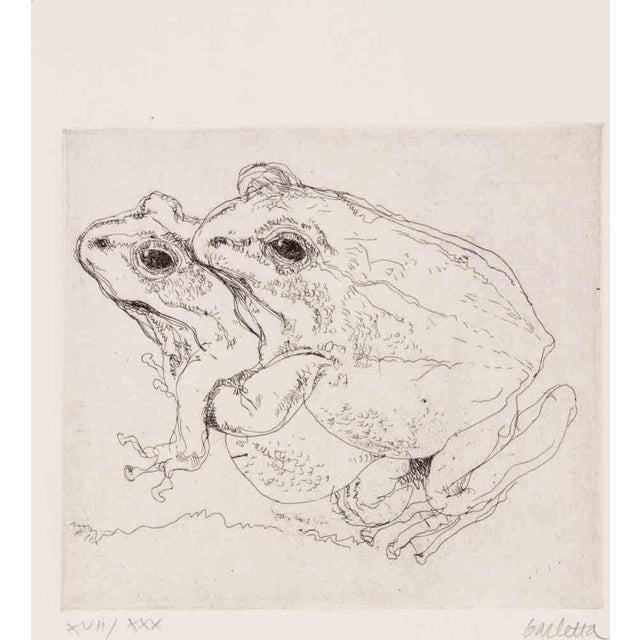 Sergio Barletta, Frogs, Etching, 1970s For Sale