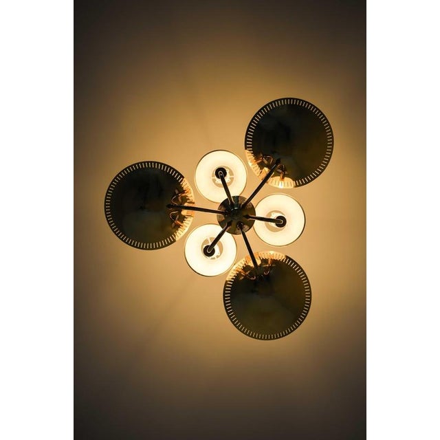 Metal Scandinavian Modern Brass Ceiling Lamp in Gold and White, 1950s For Sale - Image 7 of 10