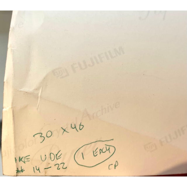 African American Large Vintage Color Photograph Dandy C Print Photo Ike Ude, c.1999 For Sale In Miami - Image 6 of 8