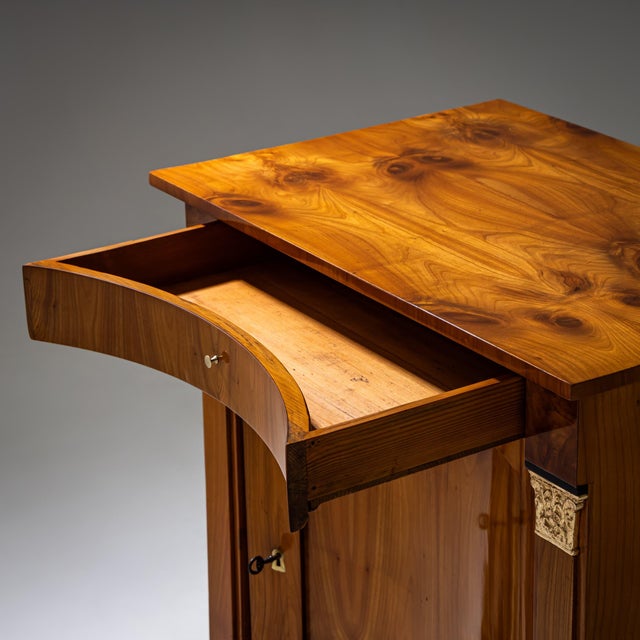 Brown Biedermeier Demi-Cabinet With Pilasters, Circa 1820 For Sale - Image 8 of 12