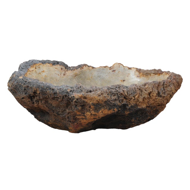 Stone Petrified Coral Bowl by Xyleia Petrified Wood For Sale - Image 7 of 7
