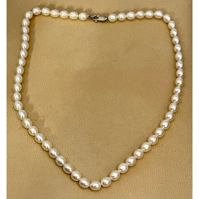 White Fresh Water Elongated Pearl Single Strand Necklace, Silver Clasp For Sale - Image 8 of 18