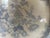 English Mid 19th Century Asiatic Pheasant Platter For Sale - Image 3 of 14