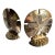 Coastal Solid Brass Sand Dollar Bookends-a Pair For Sale