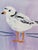 A charming original oil painting by contemporary American artist Anne Louise Ewen, featuring a piping plover rendered in...