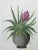Late 20th Century Original Botanical Floral Tropical Bromeliad Plant Painting For Sale - Image 5 of 10