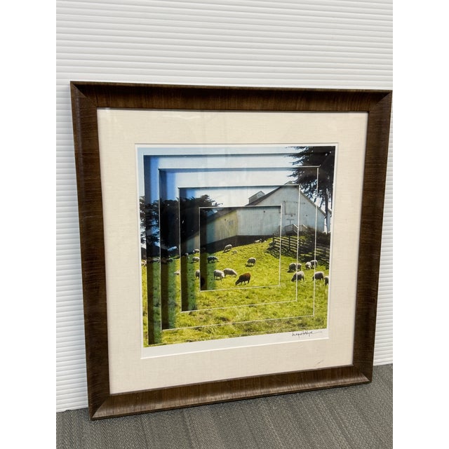 Green Maynard Hale Lyndon "Playful Ways of Seeing the Sea Ranch" Framed Photograph, Framed For Sale - Image 8 of 12