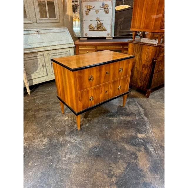 19th Century German Biedermeier Chest With Ebonized Details For Sale In Dallas - Image 6 of 6