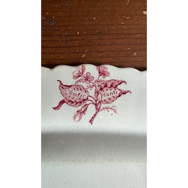 Early 19th Century A Very Fine Antique Pink Transferware Decorated Staffordshire Pattern Platter "Asiatic Plants" Pattern, Circa 1840's For Sale - Image 5 of 11
