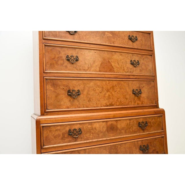 Wood Antique Burr Walnut Chest on Chest of Drawers, 1930 For Sale - Image 7 of 9