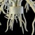 Coastal Vintage Coral Chandelier For Sale - Image 3 of 5