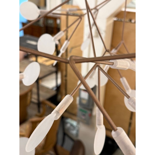 Bertjan Pot for Moooi Heracleum Endless Suspension Lamp For Sale - Image 10 of 12