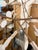 Bertjan Pot for Moooi Heracleum Endless Suspension Lamp For Sale - Image 10 of 12
