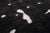 Constellations scattered across a field of night. Small organic bursts of ivory float freely across a deep midnight black...
