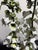 Hand painted Foxglove metal sculpture in terra cotta pot