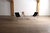 Filo Lounge Chairs Model 203 by Odile Mir for Prisunic, France 1971, Set of 2 For Sale - Image 16 of 18