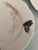 Haviland & Co. Antique Haviland Limoges Meadow Visitors Salad Plate, Set of 6 For Sale - Image 4 of 5