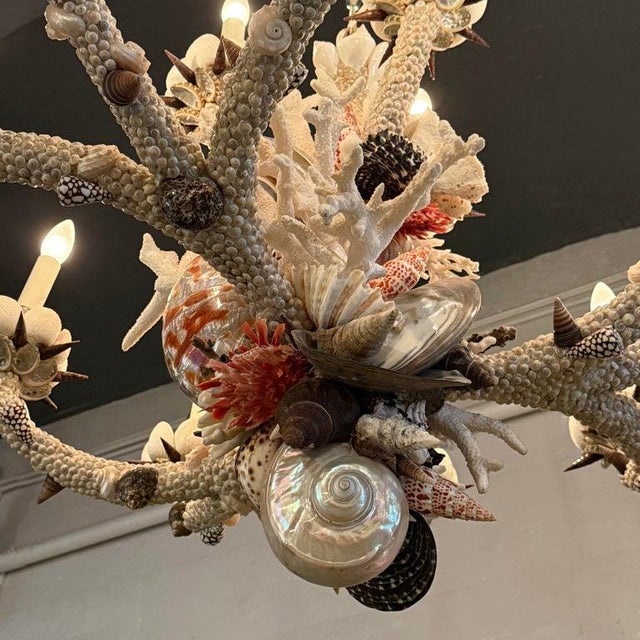 1990s Coastal Grand French Hand-Crafted Grotto Nautical Multi-Stem Coral Shell Chandelier For Sale - Image 4 of 16