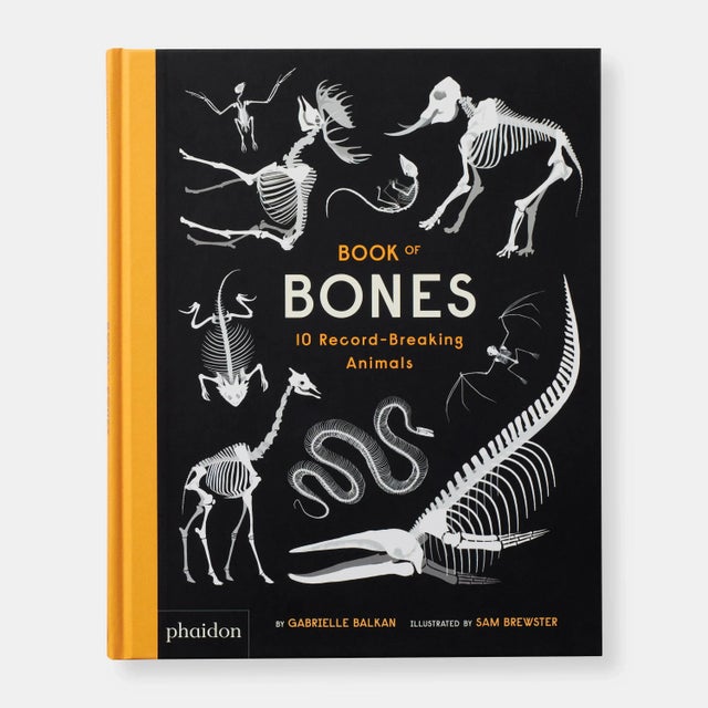 It's a book of world records... of bones! Guess whose bones are the longest, shortest, heaviest, spikiest, and more. With...