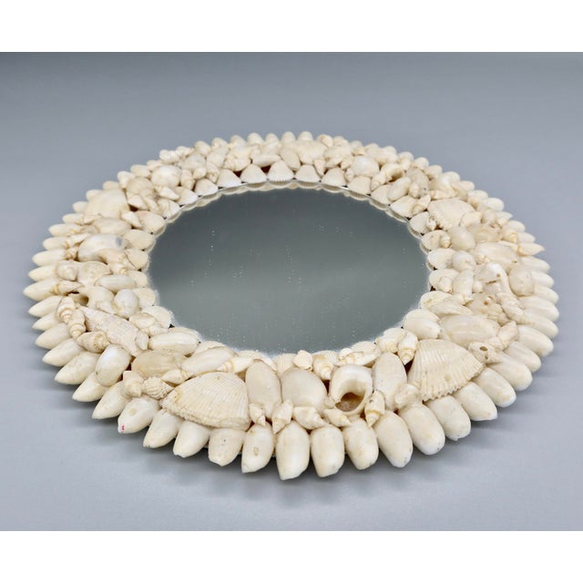 Vintage round mirror with a dense, layered shell frame — spiky whelk and cone shells radiating out from the glass, with...
