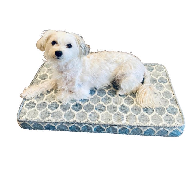 Handmade designer dog bed in Edgar Glacier fabric by Stout accented with textured velvet welting. 2” medium density foam...