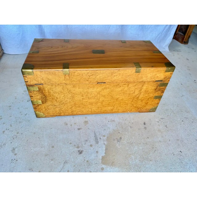 19th Century English Camphor Wood Campaign Chest For Sale - Image 9 of 18