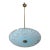 Vintage Italian Floral Glass and Brass Pendant Chandelier, Mid-Century, 2 Lights For Sale