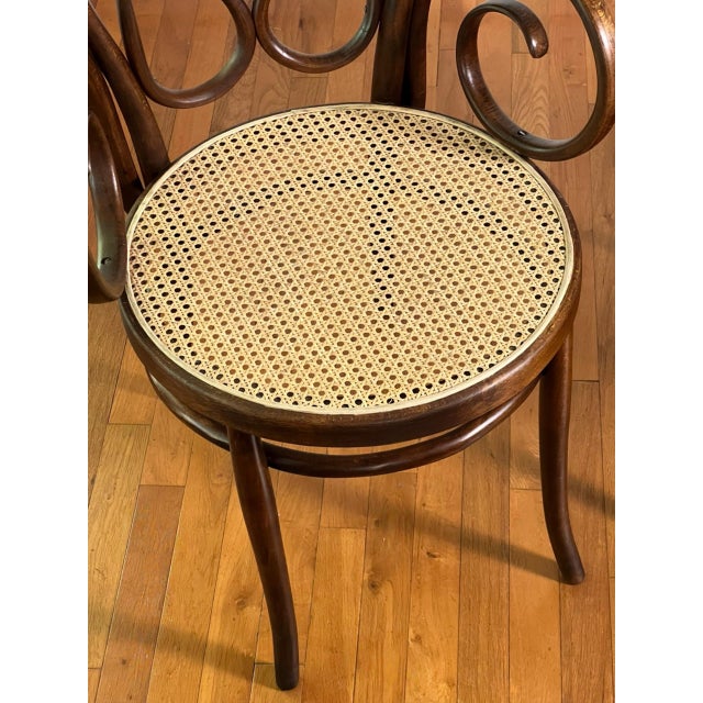 Italian Bentwood Thonet Cafe Daum Style Armchairs by Salvatore Leone, Set of 3 For Sale In Philadelphia - Image 6 of 18