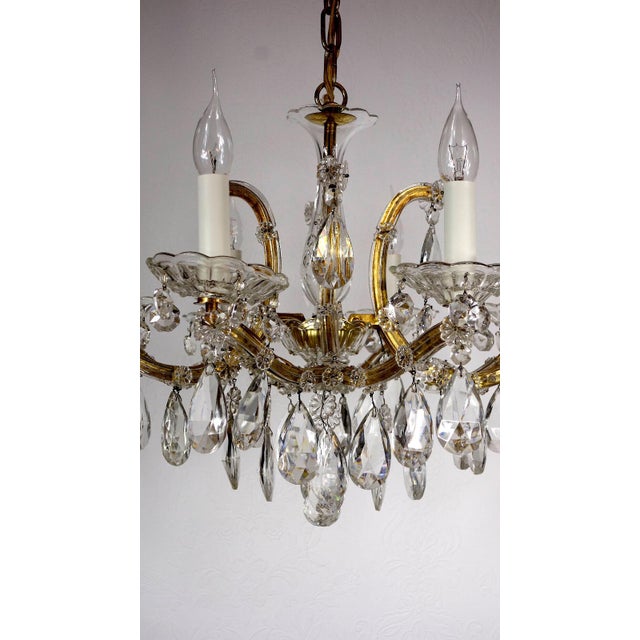 Maria Theresia 8-Light Chandelier from Palwa, 1960s For Sale - Image 6 of 13