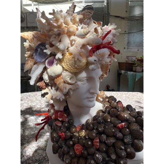 Christa's South Seashells 10.5" h. Seashell Bust of Apollo. This marble bust of Apollo it filled with special shells in...