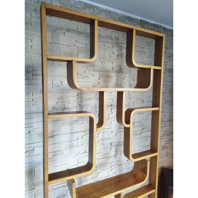 Wall Divider by Ludvik Volak for Drevopodnik Holesov For Sale - Image 17 of 18