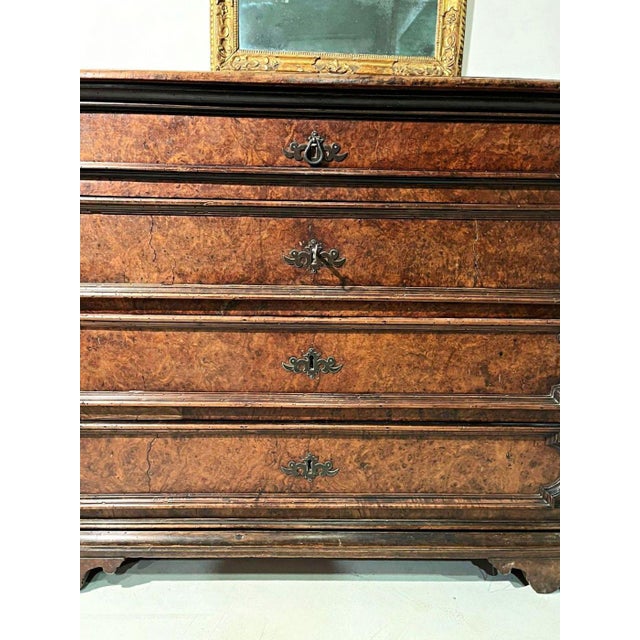 Splendid chest of drawers with 4 drawers completely veneered in light walnut with a beautiful patina. The piece of...