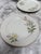 Vintage Floral Porcelain China Side Plates, Set of Five For Sale - Image 10 of 10