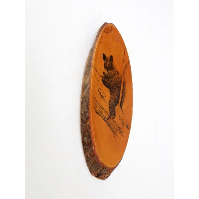 This vintage wood slice wall hanging features an illustration by Barry Nehr of a black bear cub climbing a tree, finely...