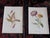 Realism Antique 19th Century Edward Hulme Botanical "Garden Flowers" Lithographs - Set of 12 - Super Price! For Sale - Image 3 of 9