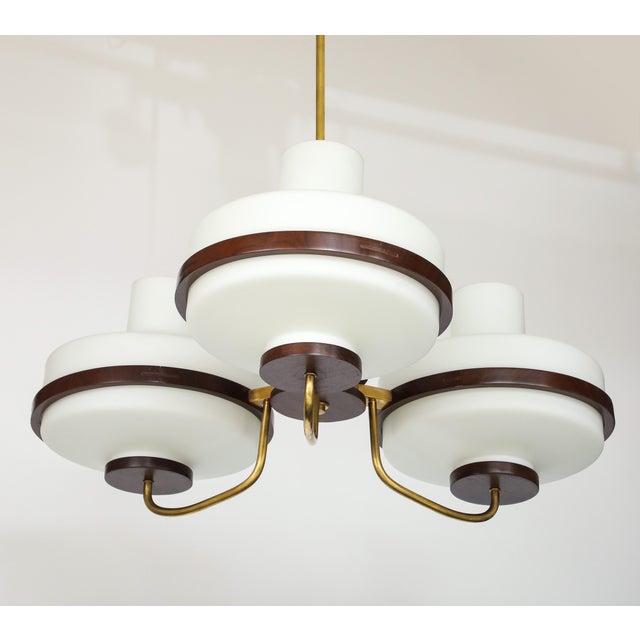 1960's Stilnovo Style Walnut and Brass Chandelier For Sale - Image 13 of 17