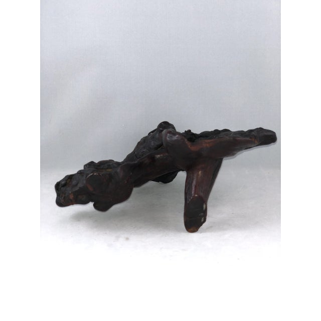 Oxblood Red Mid 19th Century Antique Wood Root Caved Buddha For Sale - Image 8 of 13