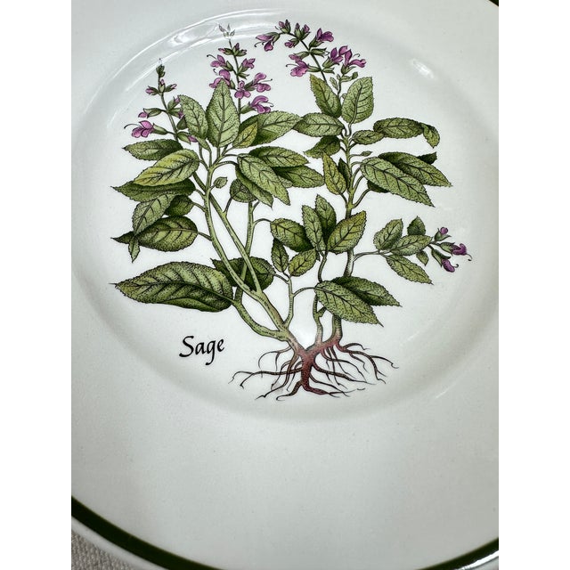 White Vintage Tiffany Herbs Plates For Sale - Image 8 of 12