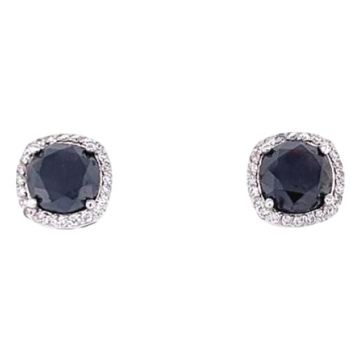 5.92 Carat Black Diamond White Diamond 14 Karat White Gold Stud Earrings, A Pair For Sale