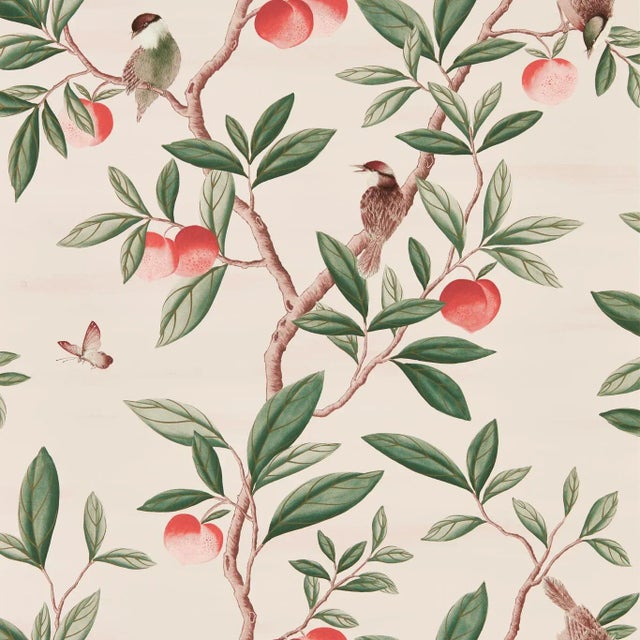 Harlequin Ella Wallpaper in Powder/ Sage / Peach - a Sample For Sale