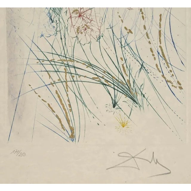 The Beloved Feeds between the Lilies is a print realized by Salvador Dalì in 1971 Etching with gold processed color. cm....