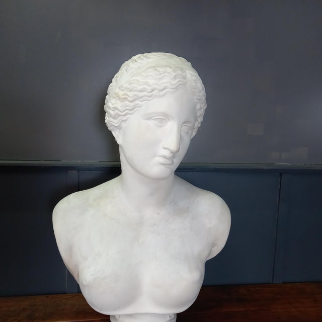 1950s Large Nude Bust of Venus, 1950s For Sale - Image 5 of 15