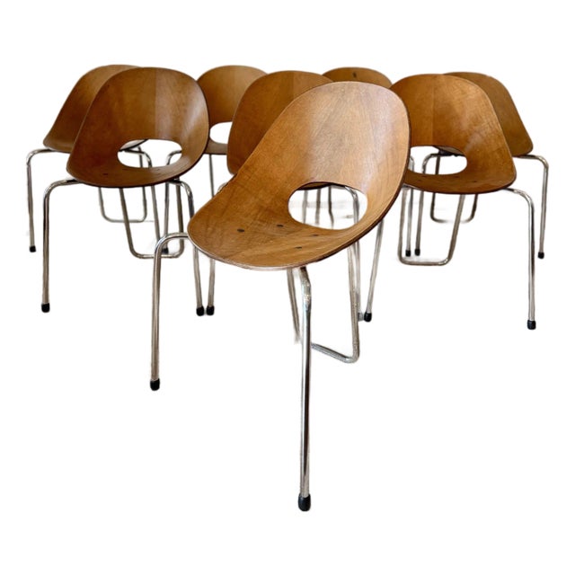 A Set of 8 Mid Century Modern Italian “Medea” Chairs, Designed by Vittorio Nobili for F.lli Tagliabue, Circa 1950s. Not Markd. For Sale