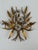 Italian Regency Wall Sconces, Pair For Sale - Image 4 of 12