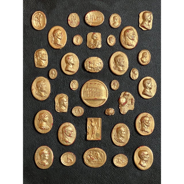 Grand Tour revival Neoclassical waxed gilded plaster collection of classical Intaglios and Cameos on the Leather Ground...